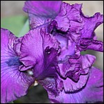 DSCN0075.JPG